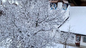 A snow-covered tree in front of a building with a wooden roof and a clock tower. - "Mezzanine floor" - 4 1/2 room vacation apartment - in the "Chalet Baergli" (Kandersteg)