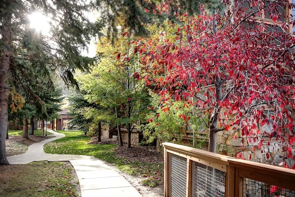 Garden view