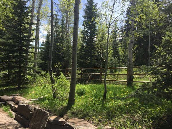 Un área boscosa y natural con una cerca de madera, terreno rocoso y vegetación densa.