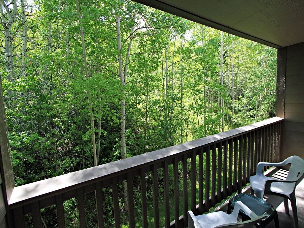 A balcony with a view of a dense forest.
