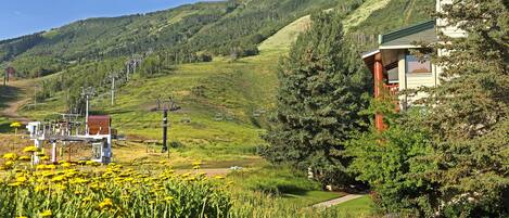 A mountain lodge with a ski lift, surrounded by lush greenery and a clear sky.