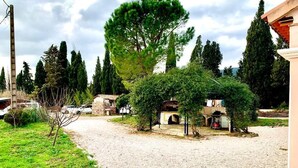 A courtyard with a gravel path, a wooden stump, and a large tree. - Maison de Campagne Avec Jardin (Cuers)