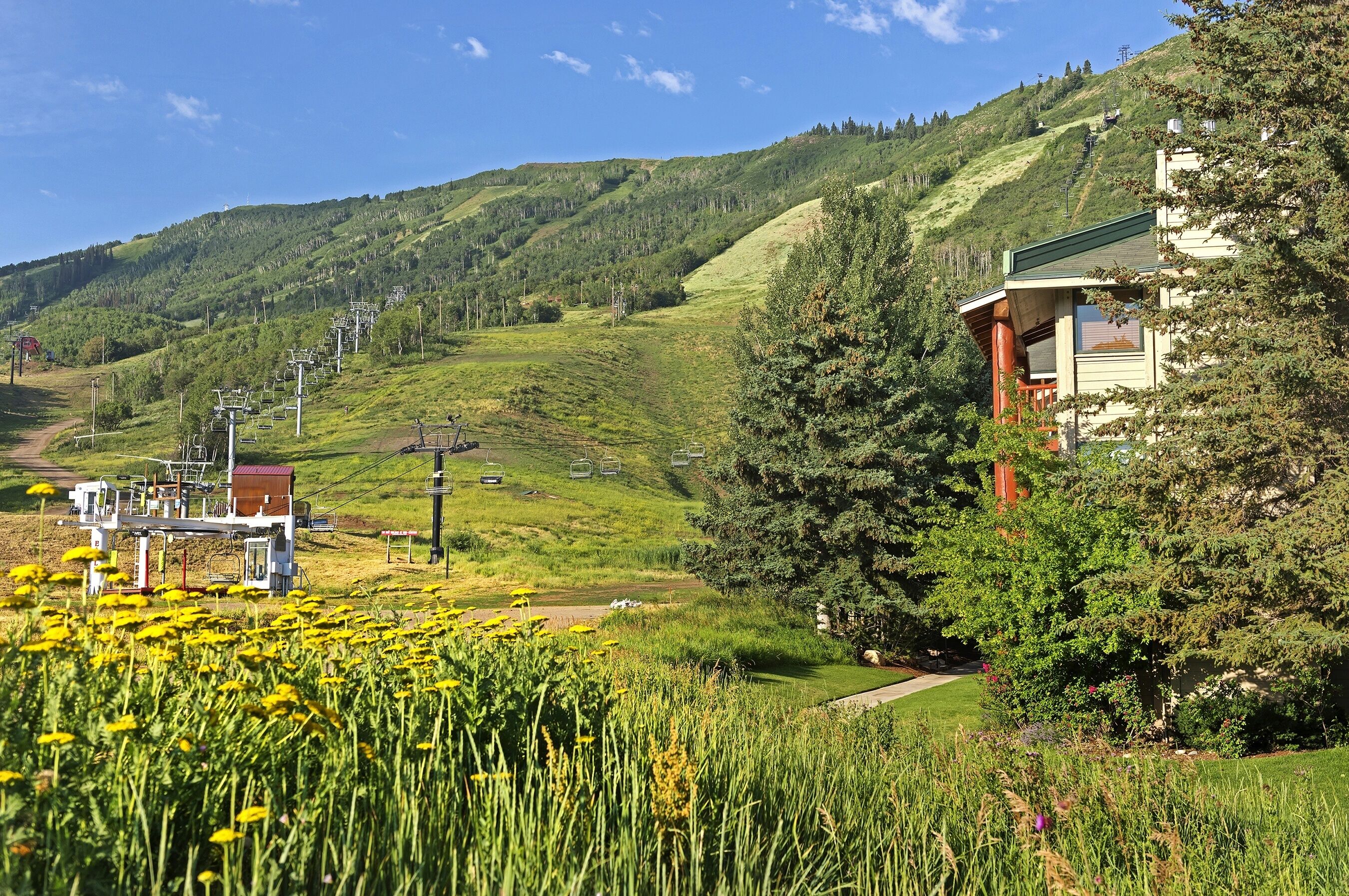 A mountain lodge with a ski lift, surrounded by lush greenery and a clear sky.