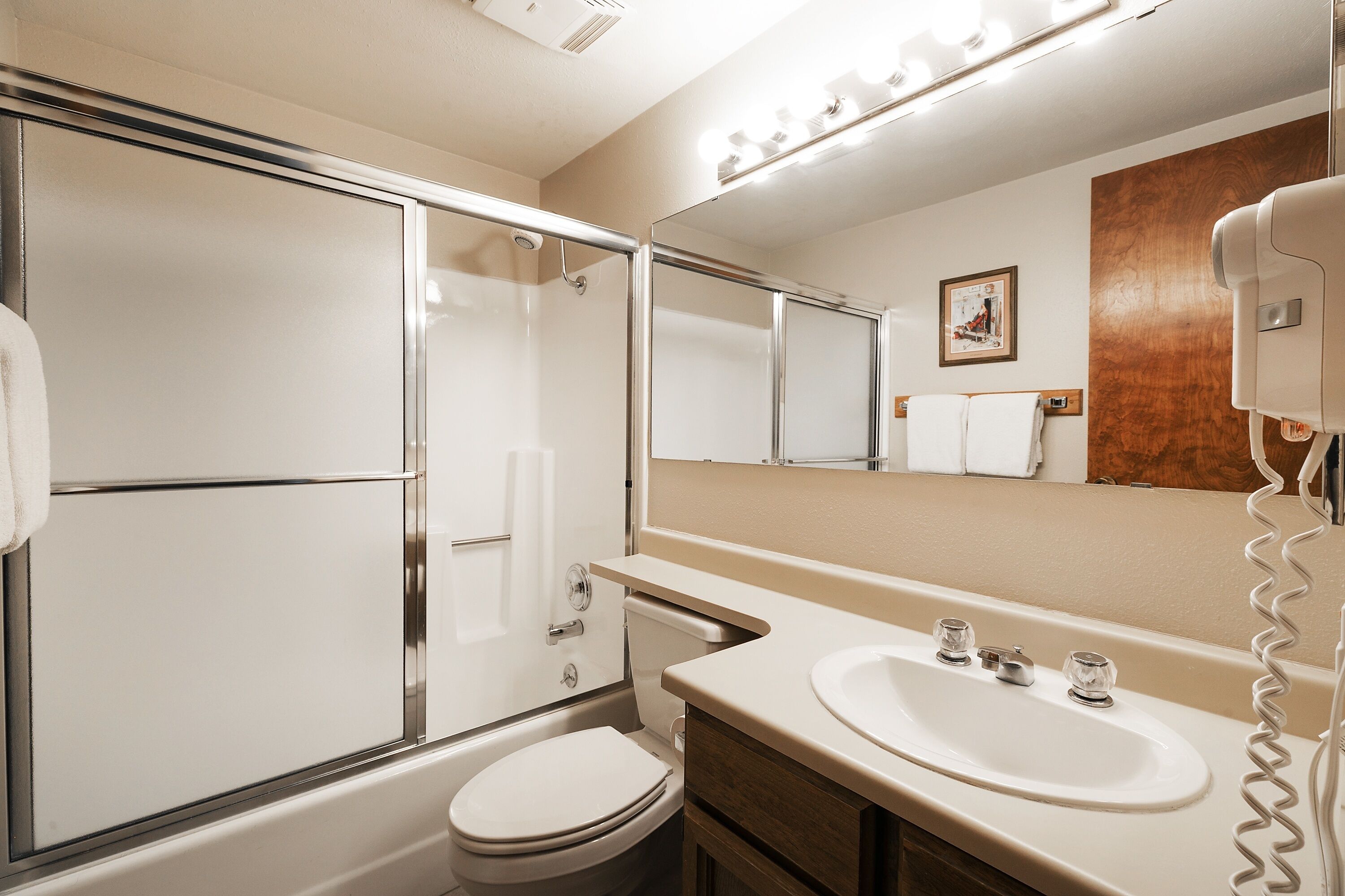 A modern bathroom with a glass-enclosed shower, a white toilet, a vanity with a sink, and a large mirror.
