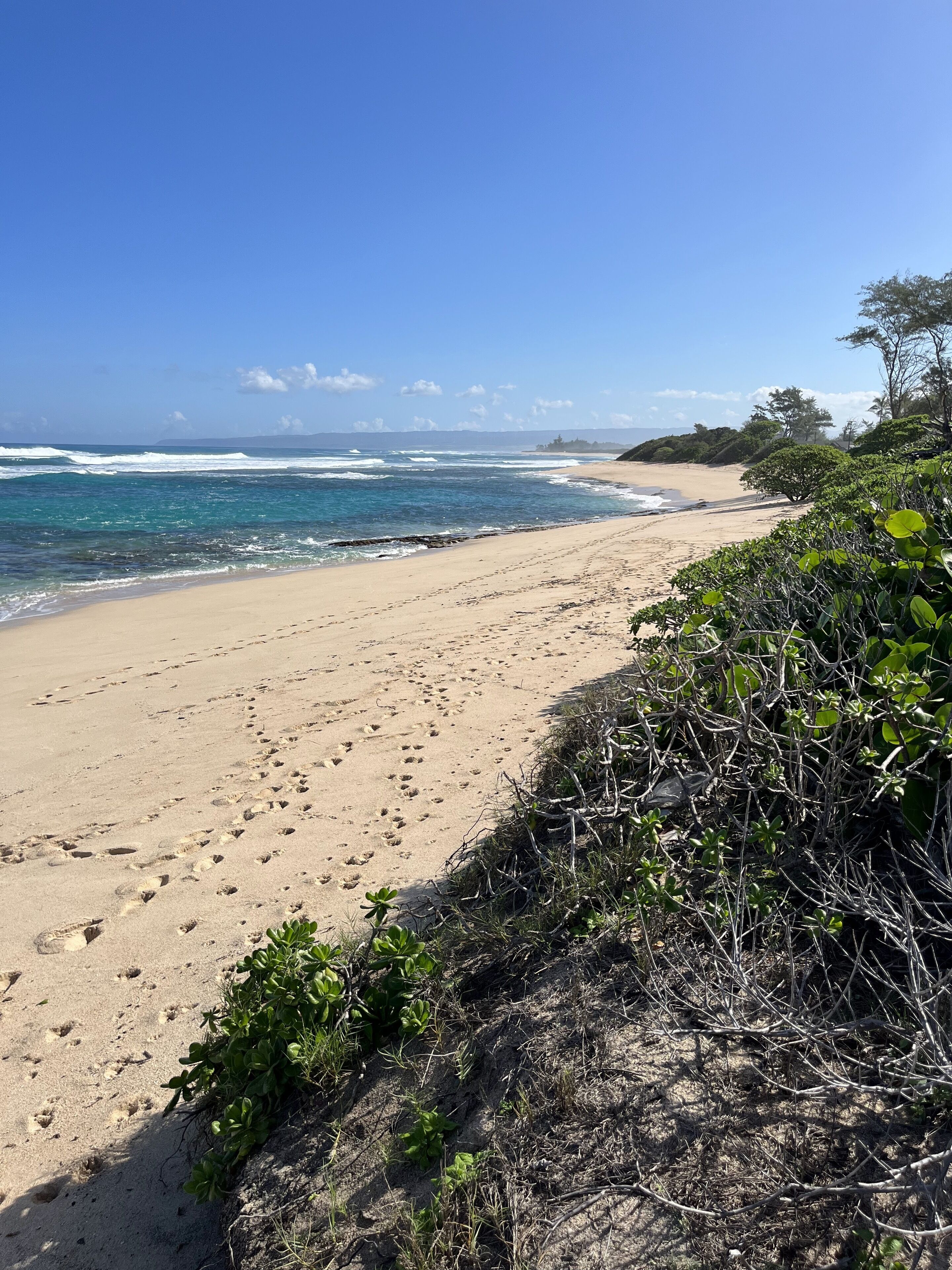A beach with footprints leading to the water, a clear sky, and a distant shoreline with vegetation.