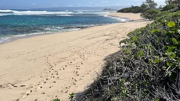 A beach with footprints leading to the water, a clear sky, and a distant shoreline with vegetation.