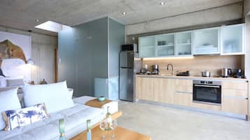 Basic Villa | Private kitchen | Fridge, oven, stovetop, dishwasher