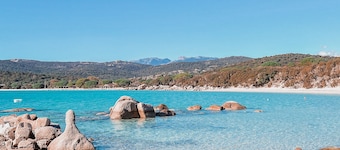 Unusual bubbles with sea view in Porto-Vecchio, 10 minutes from the beach!