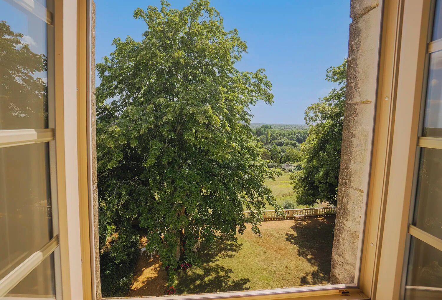 Vista da janela com uma grande árvore e área gramada.