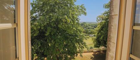 Vista da janela com uma grande árvore e área gramada.