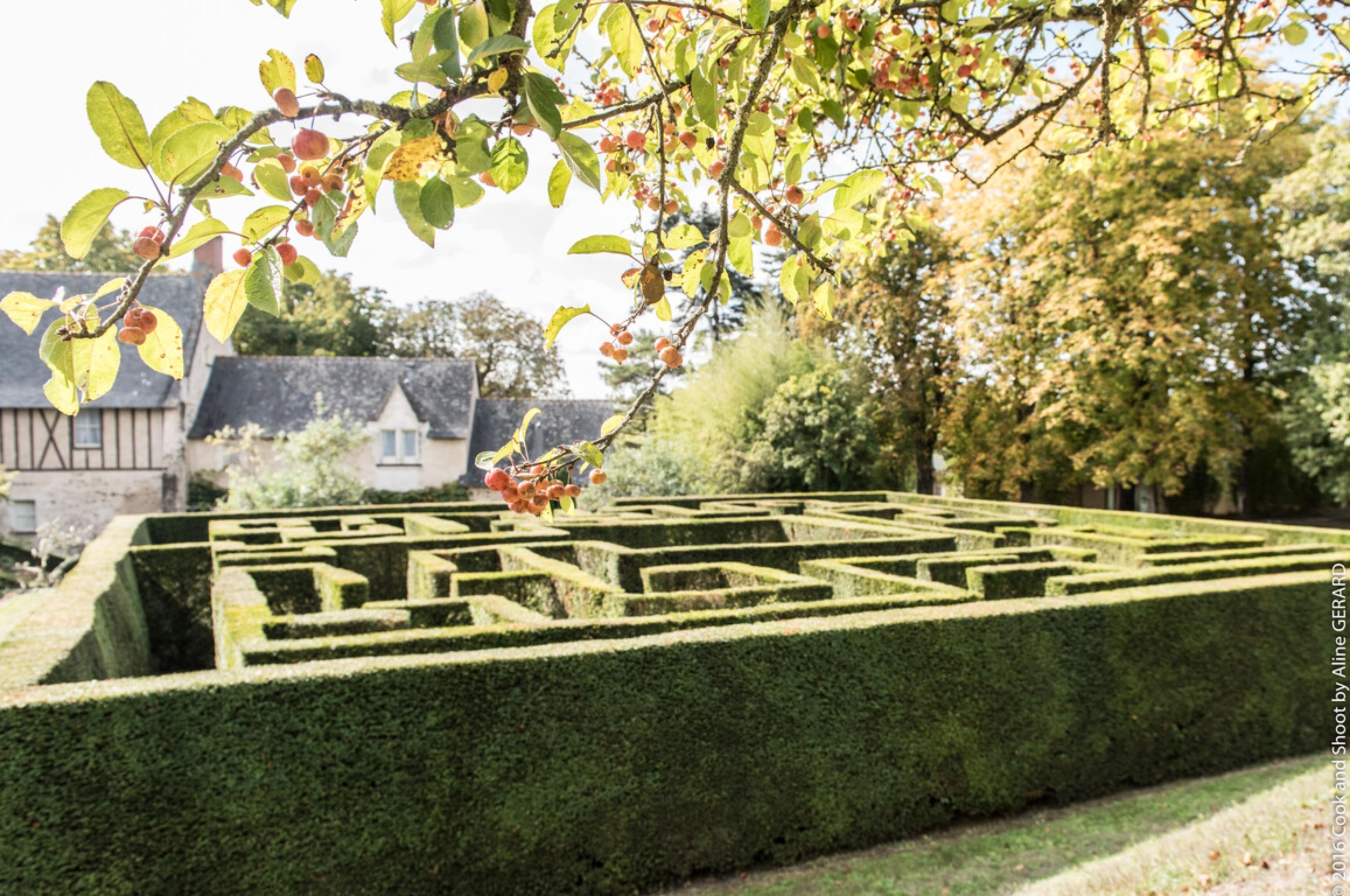 A hedge maze with a clear path and a house in the background.