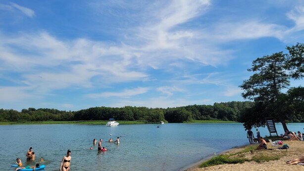 A lakeside scene with people swimming and boats on the water, surrounded by trees and a clear sky. - Dogs and children welcome, 150m to the beach, fenced property,  (Rheinsberg OT Flecken Zechlin)