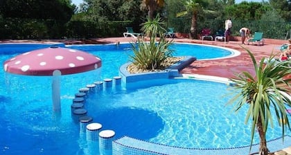 Air-conditioned chalet with heated pool and parking in a quiet pine forest