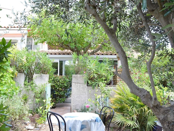 Un jardín con una mesa y sillas, rodeado de diversas plantas y árboles.