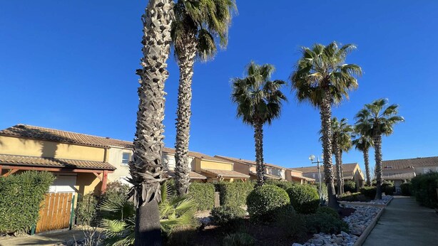 A residential area with palm trees, a paved walkway, and houses with tiled roofs. - Cozy 3-Room Pavilion with Pool, Near Beach and Shops, Sleeps 6 (Valras-Plage)
