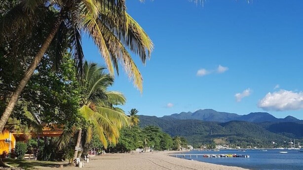 Uma praia com palmeiras e montanhas ao fundo.