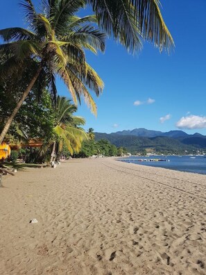A beach with palm trees and mountains in the background.