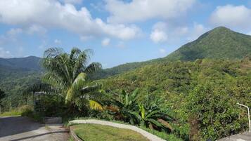 Área da propriedade