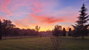 A grassy field with trees and a fence. - Country house in the heart of the bearn180 m2 (Sault-de-Navailles)
