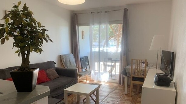 A living room with a sofa, a small table, a potted plant, and a television on a stand. - Bright T2 with Balcony near the Thermal Baths (Balaruc-les-Bains)