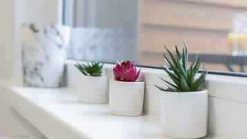 A touch of greenery and succulents adorn the windowsill, adding a fresh and modern vibe to the interior.