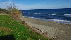 Una spiaggia con onde, aree verdi e fiori gialli.