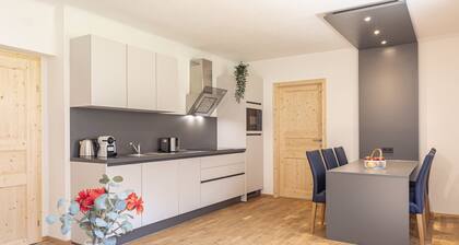 Superior Apartment with IR sauna & whirlpool tub III