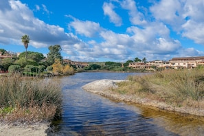 A river with a sandy bank, surrounded by greenery and buildings in the background.