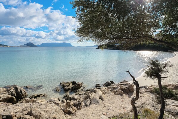 Plage à proximité