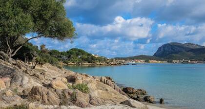 Appartement "Résidence Orizzonti N 25" avec vue sur la mer et terrasse privée.