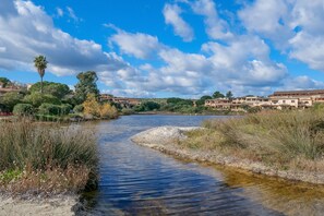 Un río con un cauce claro, rodeado de vegetación y edificios.