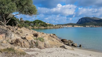 Playa en los alrededores