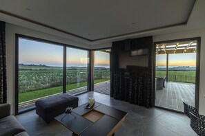 TV connectée, cheminée, chaîne hi-fi