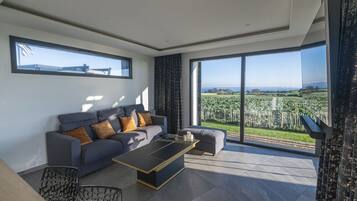 TV connectée, cheminée, chaîne hi-fi