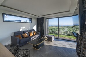 TV connectée, cheminée, chaîne hi-fi