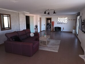 Tv, pejs, videospil
