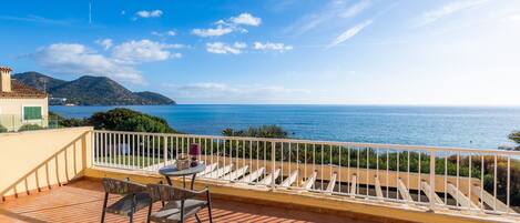 テラス / パティオ