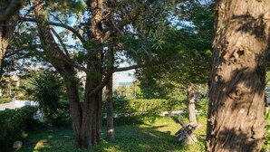 A park with trees, grass, and a wooden structure.
