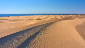Vlak bij het strand