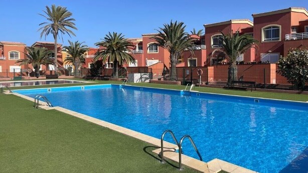 Una piscina con agua cristalina azul, rodeada de césped verde y palmeras.