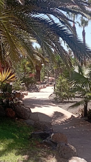 Un sendero bordeado de palmeras y rocas que lleva a un edificio.