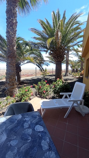 Un área de patio con una silla lounge blanca, una mesa con mantel estampado de hojas y varias palmeras.
