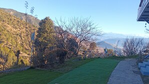 Un área verde bien cuidada con un camino de piedra que lleva a un edificio.
