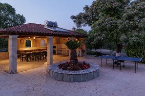 A patio area with a table and chairs, a small garden with a palm tree, and a ping pong table. - Country Villa Verde (Corfu)