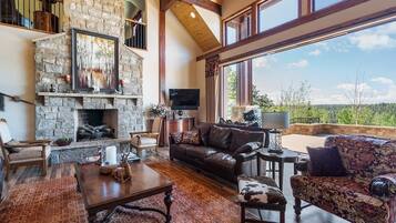 TV, fireplace, video games, books