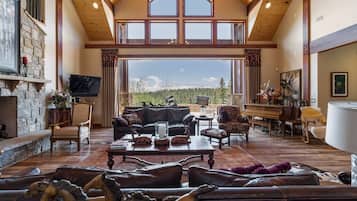 TV, fireplace, video games, books