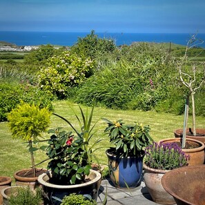 Property grounds - Lovely four bedroom house with spectacular panoramic views of Cornwall coastline (Trenale, Tintagel)