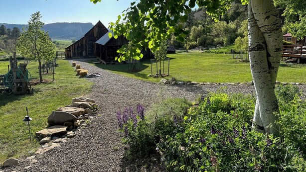 A gravel path leading to a rustic barn with a metal roof, surrounded by lush greenery and a clear blue sky. - Rancho Sendero Correo -Historic Home on 300 Acres- Hot Tub/Pool Table/Trails (Hesperus)