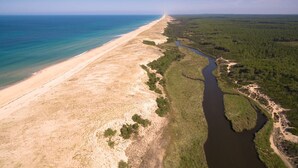 Vista aérea de un paisaje costero con playa, río y bosque denso.