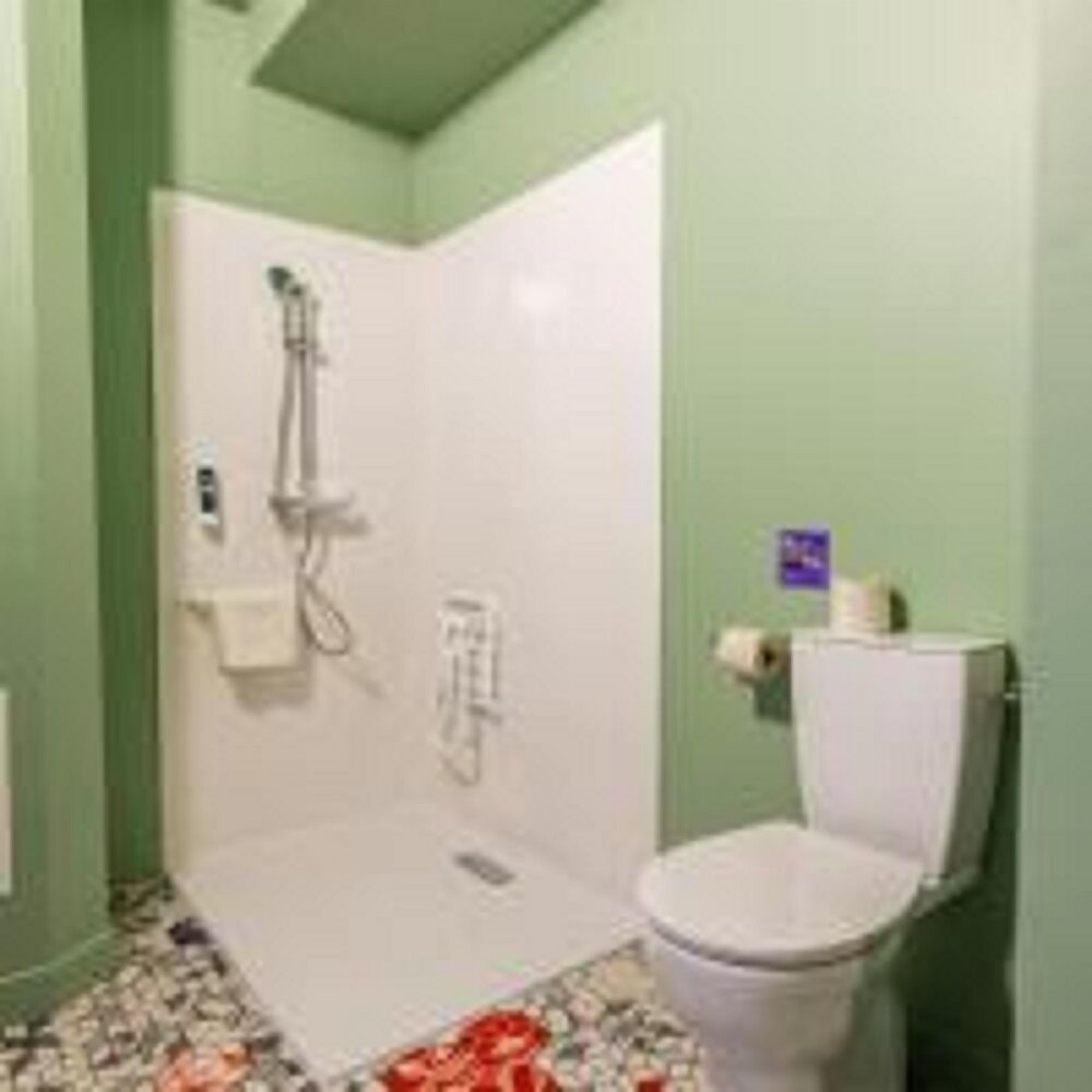 Une salle de bain avec une douche, des toilettes et une petite poubelle.
